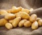 Patates
